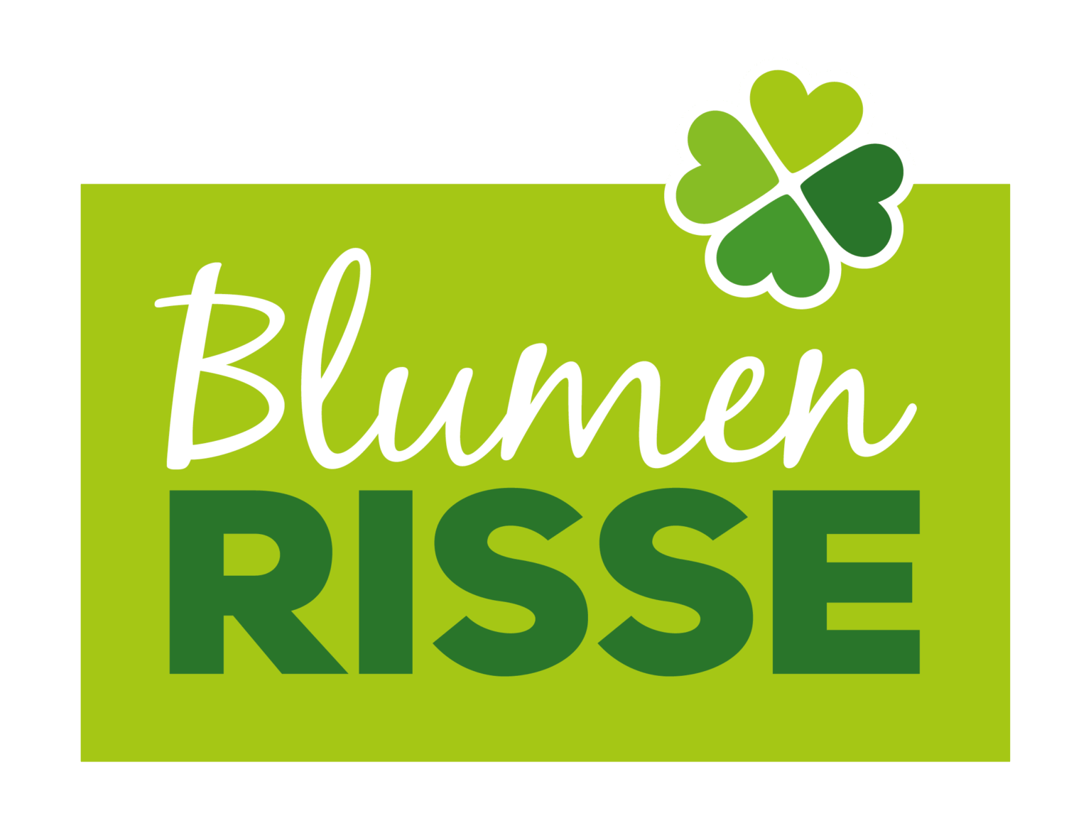 Blumen_Risse_CMYK_iso-300